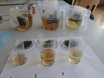 Impressionen Schulanlässe