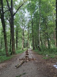 Impressionen Schulanlässe